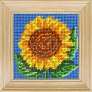 Канва «С» 10*10см