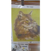 Канва «Кот перс» 33*28см